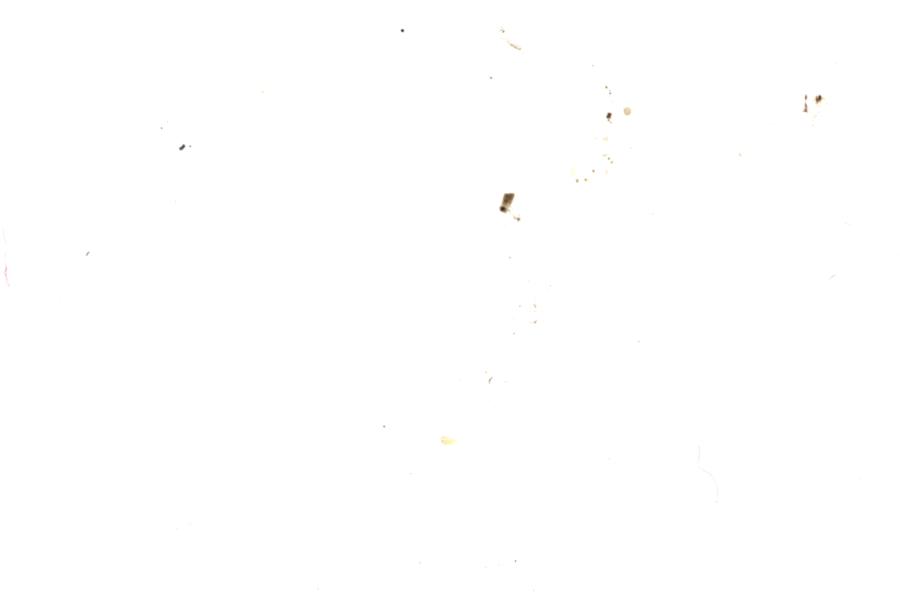 Image 29